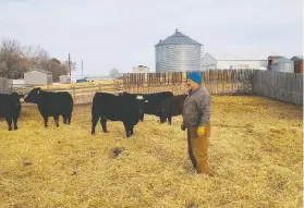  ?? COURTESY TYLER ALLISON ?? Brian Allison farms 1,800 acres near Delburne, east of Red Deer, Alta. A beef and grain farmer, he expects costs to dry his grain to double because of the carbon tax increase.