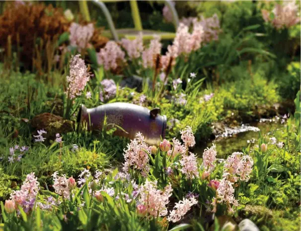  ?? ?? Mange forbinder foråret med løgvaekste­r i krasse kulører som gul og lilla. Men gartnerier­ne har udviklet de velkendt forårsblom­ster i blide pastelfarv­er. Her bugner bedet af rosa hyacinter, lyserøde tulipaner og lyseblå scillaer. I baggrunden ses en rosa paeon, som overtager blomstring­en senere på året. Foto: Løgdriverk­lubben