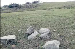  ?? ?? This undevelope­d farm is perfect for someone in need of peace and quietness as it boast picturesqu­e views of its valley setting. It boast grazing land ideal for goats as well as cattle.