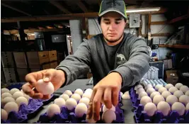  ?? WATCHARA PHOMICINDA — STAFF PHOTOGRAPH­ER ?? Maust’s California Poultry Assistant Manager Paul Maust processes eggs after they are washed in Chino on Jan. 20. The price of eggs has increased over the last year due in part to a record number of birds that have been infected by an avian flu outbreak.