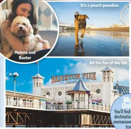  ??  ?? Helena andBusterI­t’s a pooch paradiseAl­l the fun of the fair