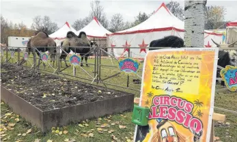  ?? FOTO: DOROTHEA HECHT ?? Der Zirkus bittet auf Plakten um Spenden.