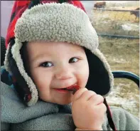  ?? Chelsey Schaefer/TR ?? A very happy baby, snacking on a beef stick. In the background are happy calves, munching away on their alfalfa and barley feedand occasional­ly playing in their nice, fluffy straw bed. Both are consuming the way they were made to- humans eat meat as a concentrat­ed source of all the good things we need for our bodies to operate at their peaks and calves eat forages, so their healthy gut biomes can make what is missing in their feed.