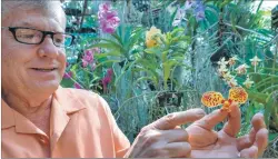  ?? CRISTÓBAL HERRERA / EFE ?? Florida. El coleccioni­sta e investigad­or de orquídeas Jay Pfahl, muestra las flores que adornan su casa.