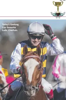  ??  ?? Today’s Geelong Cup favourite Gallic Chieftain.