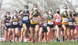  ?? COURTESY JOHN DENNE ?? Los Alamos junior Norissa Valdez leads at the start of the 4A Cross-Country State Championsh­ip in March. The state Public Education Department recommends masks during outdoor sporting events but is not requiring them.