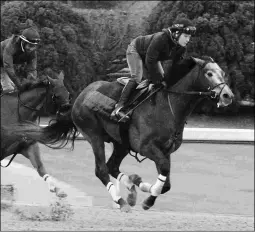  ?? COADY PHOTOGRAPH­Y ?? Petrov works five furlongs in 1:00 Monday for the Southwest.