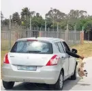  ?? Picture:
VIA/WHATSAPP ?? NOT ABUSE: The picture seen on WhatsApp of the dog being held out of a car window