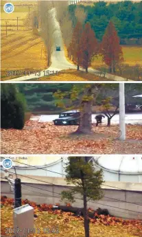  ?? REUTERSPIX ?? ... A North Korea soldier is shown defecting into South Korea in these still images taken from a video released by the United Nations Command (UNC) yesterday. (Top) The defector drives a military vehicle towards the border, passing checkpoint­s manned...