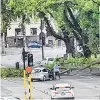  ?? PHOTO: SUPPLIED ?? Near miss . . . A couple get out of their car after it was nearly hit by a falling tree limb in Dunedin yesterday.