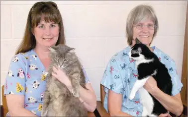  ?? PAT HARRIS ENTERPRISE-LEADER ?? Dr. Diane Balich, right, owner of Lincoln Veterinary Clinic, and employee Janet Ward hold two office pets. Balich said she does have cats for adoption for anyone who would like to give them a loving home.