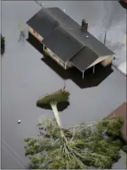  ?? STEVE HELBER — THE ASSOCIATED PRESS ?? A downed tree uprooted by Hurricane Florence lies next to homes in New Bern, N.C., Saturday.