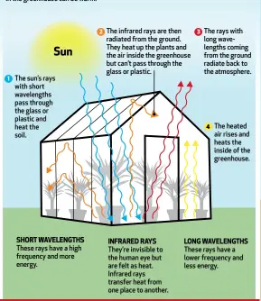 HOW DOES A GREENHOUSE WORK? - PressReader