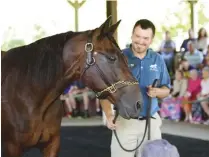  ??  ?? The Kentucky Horse Park’s Hall of Champions brings out retired superstars from the racing and show world for eager crowds to meet and greet.