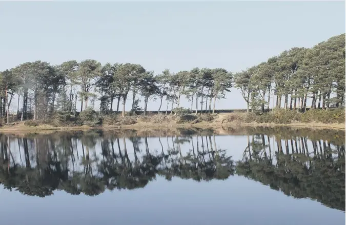  ?? ?? 0 Scotsman reader Keith Guthrie says: “Walking at Harlow reservoir this morning and the water is like a mirror.”