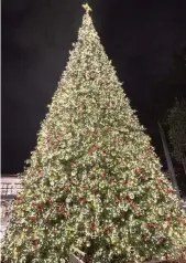  ?? Miami ?? Merrick Park Christmas tree in Coral Gables