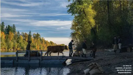  ??  ?? La vaca en cuestión, el secreto del éxito de estos emprendedo­res.