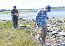  ??  ?? Matt Betts (left) and Gabe Hrynick measure the border of an archaelogi­cal site near Sable River, where they found evidence of shell middens.