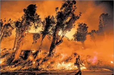 ?? NOAH BERGER/AP ?? Flames from a backfire consume a hillside as firefighte­rs battle the Maria fire Friday in Santa Paula, California.