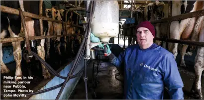  ?? ?? Philip Fee, in his milking parlour near Pubble, Tempo. Photo by John Mcvitty.