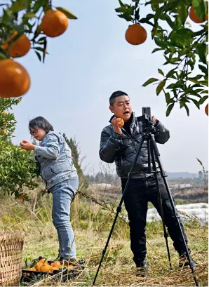  ?? (CNSPHOTO) ?? Villagers promote sales of apples through livestream­ing in a village in Nanchong, Sichuan Province, on February 14