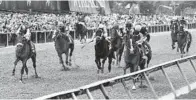  ?? KENNETH K. LAM/BALTIMORE SUN ?? Despite a field without a Kentucky Derby winner and wellpublic­ized problems with Pimlico's facilities, a big crowd turned out for Saturday's Preakness Stakes.