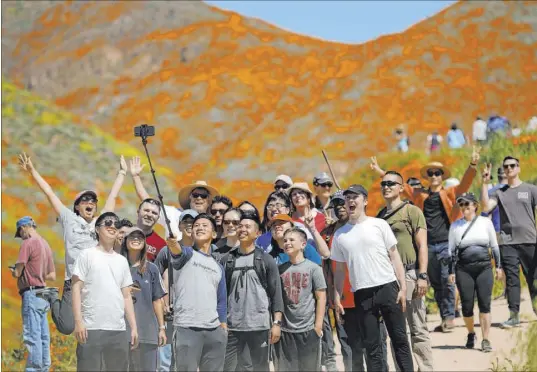  ?? Gregory Bull The Associated Press ?? Fields of wildflower­s in Lake Elsinore, California, were overrun this past spring by tourists seeking the perfect photo.