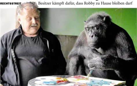  ?? DPA-BILD: DÖRNATH ?? Schimpanse Robby und sein Besitzer Klaus Köhler spielen mit Farbkasten und Malblock.