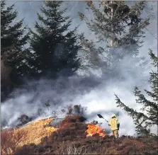  ?? Photograph: Kevin McGlynn ?? Four fire engines were sent to the scene near Nant Drive, Oban, after reports of a grass fire on Saturday night.
