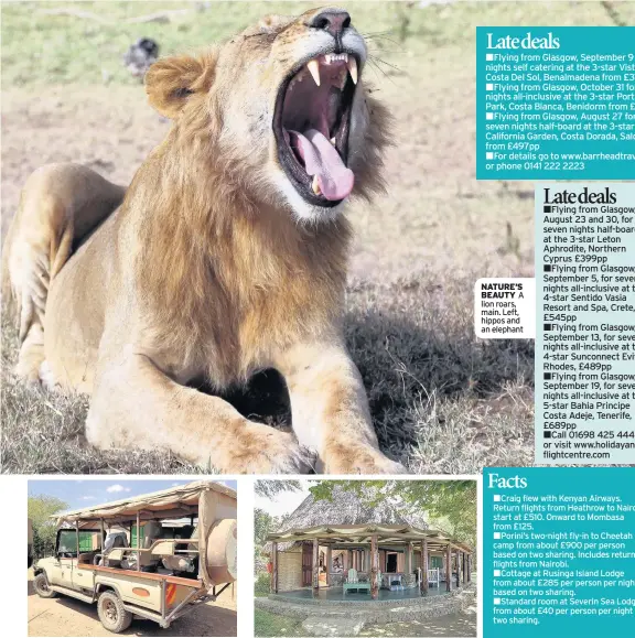  ??  ?? NATURE’S BEAUTY A lion roars, main. Left, hippos and an elephant