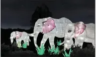  ?? (Special to the Democrat-Gazette) ?? “GloWild Lights” illuminate the Little Rock Zoo through Jan. 15.