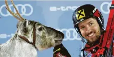  ?? Foto: dpa ?? Die Sieger des Slaloms in Levi bekommen traditione­ll ein Rentier geschenkt. Marcel Hirscher fügte seiner kleinen Herde am Sonntag ein weiteres Tier hinzu.