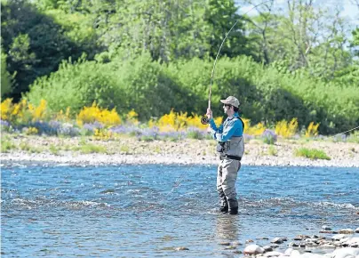  ?? Photograph by Paul Glendell ?? BIODIVERSI­TY: The grant will help to restore crucial wildlife habitats on the Dee.