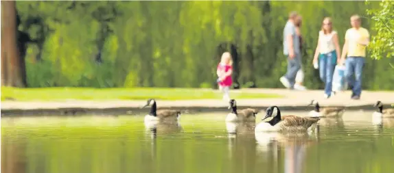  ??  ?? The Wildlife Trust of South and West Wales wants residents to connect with nature every day in June