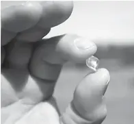  ?? Arkansas Department of Parks and Tourism ?? ■ David Anderson holds the 6.19-carat diamond he found Crater of Diamonds state park in Arkansas.
at