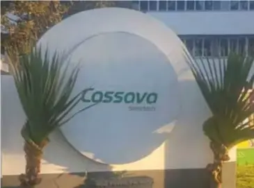  ?? ?? Cassava suffered ZW$27,5 million write-downs due to currency volatiliti­es.