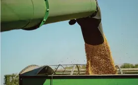  ?? Joshua A. Bickel/Associated Press file ?? Harvested corn grain is dumped into a grain wagon at a farm near Allerton, Ill. Wholesale prices increased 0.5% in January, according to a federal report.