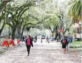  ?? NEW YORK TIMES FILE PHOTO ?? The University of Florida campus in Gainesvill­e,in February. A high school honors student bound for the university in the fall will now have to make other college plans after the university learned of an Instagram post in which she declared she was ‘most definitely’ a racist.