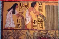  ??  ?? ABOVE: This mural from an Ancient Egyptian tomb shows a farmer and his wife harvesting. BELOW: This mural depicts a farmer in Ancient Egypt ploughing his field with cattle in a yoke.