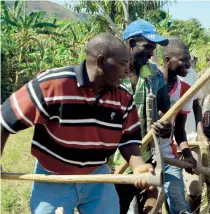  ??  ?? La organizaci­ón busca aumentar la producción local de alimentos mediante la creación de huertos agroecológ­icos que refuercen el liderato del pueblo. Al momento
la Isla cuenta con 15 huertos comunitari­os, tres de estos en el municipio de Vieques.