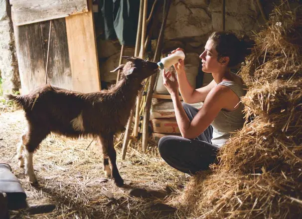  ??  ?? 18 heures, l’heure du biberon. Camille Machado, la soeur de Clémence, élève des chèvres. Bientôt, elle construitr­a sa chèvrerie sur une terre qu’elle vient d’acheter.