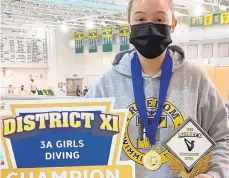  ?? CONTRIBUTE­D PHOTO ?? Freedom senior Sarah Gill had an 11-dive total of 386.95 points to take the District 11 3A girls championsh­ip.