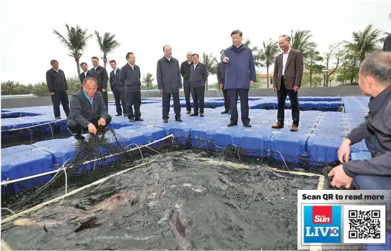  ?? Photo: ?? Chinese President Xi Jinping, also general secretary of the Communist Party of China Central Committee and chairman of the Central Military Commission, learns about efforts in developing marine aquacultur­e at a maricultur­e base in Zhanjiang City, south China’s Guangdong Province, April 10, 2023.