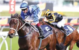  ??  ?? NOMINATED. Australian superstar Winx has been nominated to run in the Dubai Turf on Dubai World Cup raceday in 31 March.