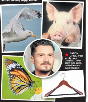  ??  ?? DIVING ace Tom Daley is having hypnothera­py treatment for his fear of clowns, as we revealed yesterday. He isn’t the only star to suffer from what’s known as coulrophob­ia.The 23-year-old is joined by actors Johnny Depp, Daniel    BACON GRILL: Pigs terrify poor Orlando. Other stars fear gulls, butterflie­s and even hangers