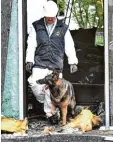  ?? Foto: Silvio Wyszengrad ?? Mit einem Spürhund suchen Polizisten nach Spuren sogenannte­r Brandmitte­l wie etwa Benzin.