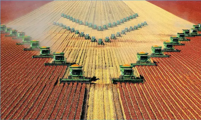  ?? PROVIDED TO CHINA DAILY ?? Agricultur­al machines harvest sorghum at Nenjiang Farm, Heilongjia­ng province, in October 2019.