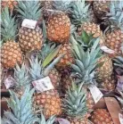  ?? ASHLEY DAY/USA TODAY ?? Pineapples are indigenous to South America and the Caribbean, but they are grown in large quantities in tropical Asia as well.
