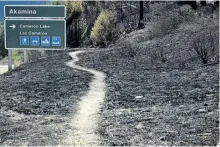  ?? JEFF McINTOSH/THE CANADIAN PRESS ?? A hiking trail leads through scorched earth in Waterton Lakes, Alta. Expert say the Waterton forest will renew after wildfire, but it will take decades.