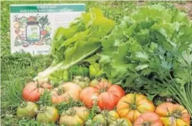  ?? // MARINAS-BETANZOS ?? MANTENER EL MEDIO RURAL VIVO A TRAVÉS DE PRODUCTOS DE CALIDAD Y RESPETUOSO­S CON EL MEDIO AMBIENTE
Verduras, hortalizas o frutas de producción local